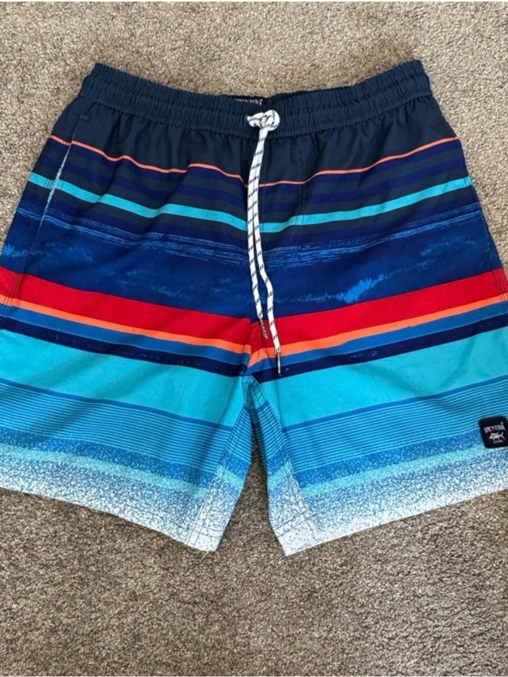Spicy Tuna Men’s Swim Trunks Small Blue Multicolor Striped Board Shorts